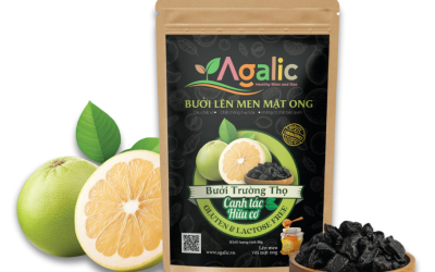 Bưởi Đen Agalic: Bí Quyết Ăn Vặt Healthy Cho Cuộc Sống Hiện Đại